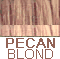 Light Pecan Brown frosted w/light golden blond              