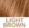 Blended light WARM Browns - Cinnamon shades as slight HL    