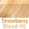 Light Rusty Blond hi-lited w/Pale Nordic Blond              