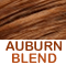 Auburn frosted with cinnamon hi-lites                       