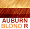 Auburn Brown Roots & Warm Blond HL's                        