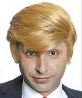 DONALD TRUMP WIG         