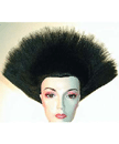 Chinese Fan Wig